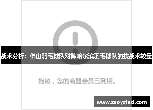 战术分析：佛山羽毛球队对阵哈尔滨羽毛球队的技战术较量