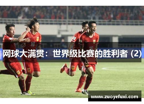 网球大满贯：世界级比赛的胜利者 (2)